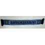 Schal Uruguay