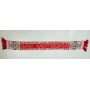 Schal Ajax Amsterdam (NED)