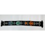copy of PRI Schal Sturm Graz, Champions League