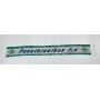 copy of PRI Sturm Graz, Europa League
