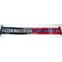 copy of PRI Schal Sturm Graz - FC Videoton, 2011