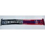 copy of PRI Schal Sturm Graz - FC Videoton, 2011