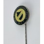 Pin Laer´scher FC 06 (GER)