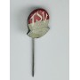 Pin TSV Röthenbach (GER)