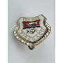 Pin TSV Fischach (GER)