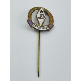 Pin Dinamo Pecsi (HUN)