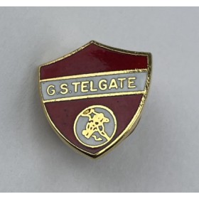 Pin GS Telegate (ITA)