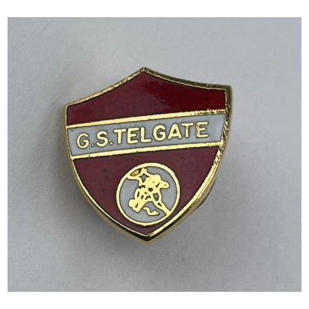 Pin GS Telegate (ITA)