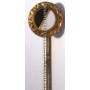 copy of PRI Pin Sturm Graz