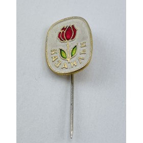 Pin Verein unbekannt