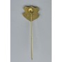 Pin SG Finnentrop/Bamenohl (GER)
