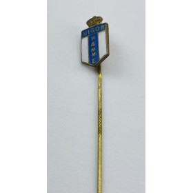 Pin VW Hamme (BEL)