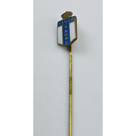 Pin VW Hamme (BEL)
