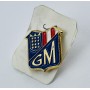 Pin SD Mechinense (ESP)
