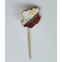 Pin TSV Teisendorf (GER)