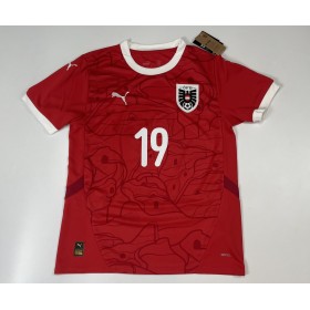Trikot Österreich, Medium, BAUMGARTNER 19, neu