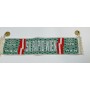 Minischal Rapid Wien (AUT)