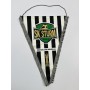 copy of PRI Wimpel Sturm Graz, Cupsieger