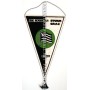 copy of PRI Wimpel Sturm Graz, Raika