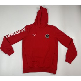 Hoodie/Kapuzenpullover Österreich, Kindergrösse 176