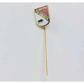 Pin TSV Golssen (GER) Pin TSV Golssen (GER)