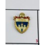 Pin Verein unbekannt