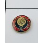 Pin NK Čelik Zenica (BOS)