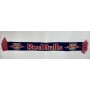 Schal FC RB Salzburg (AUT)
