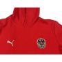 Hoodie/Kapuzenpullover Österreich, Kindergrösse 176