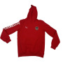 Hoodie/Kapuzenpullover Österreich, Kindergrösse 176