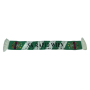 Schal Rapid Wien (AUT), Nr. 1 in Wien