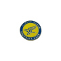 Pin Canvey Island FC (ENG)