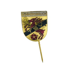 Pin TSV Kümmersbruck (GER) Pin TSV Kümmersbruck (GER)