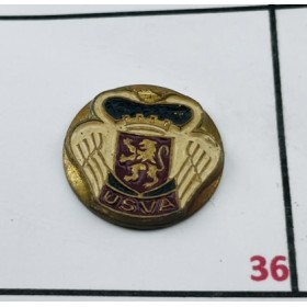 Pin FC Valenciennes (FRA)