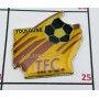 Pin Toulouse FC (FRA)