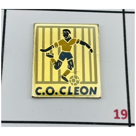 Pin CO Cleon (FRA)