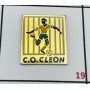 Pin CO Cleon (FRA)
