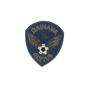 Pin FK Dainava Alytus (LTU)