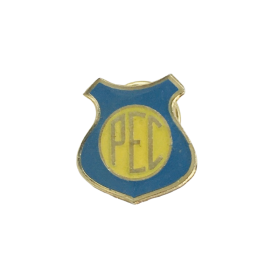 Pin Verein unbekannt Pin Verein unbekannt