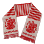 Schal Ajax Amsterdam (NED)
