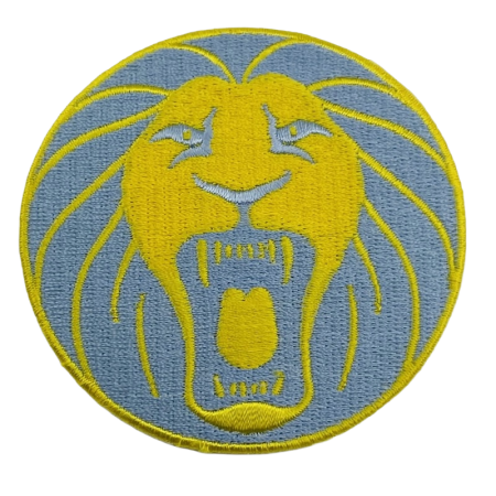 Aufnäher Kamerun, Fédération Camerounaise de Football