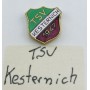 Pin TSV 1947 Kesternich (GER)