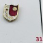 Pin FK Sarajevo (BOS)