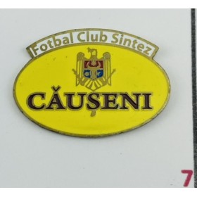 Pin Sinteza Căușeni (MDA)