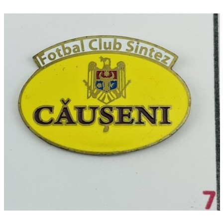 Pin Sinteza Căușeni (MDA)