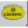 Pin Sinteza Căușeni (MDA)