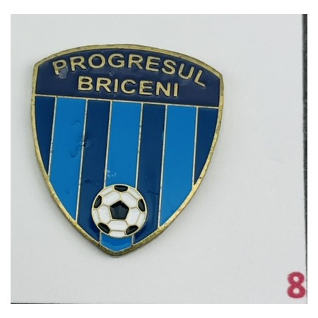 Pin Progresul Briceni (MDA)