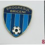 Pin Progresul Briceni (MDA)