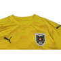 Trikot Österreich, Large