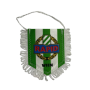 Wimpel Rapid Wien (AUT)